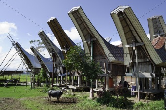 Toraja rural household