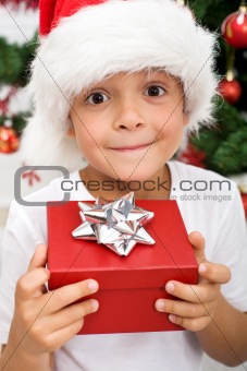Pure happiness - boy with christmas present