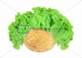 fresh potato and lettuce isolated on white background 