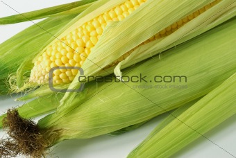 Corn on cob