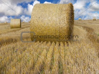 Hay bale on a field