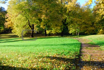 Autumn morning