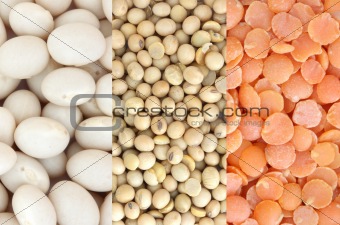 Red lentil, soya and white beans