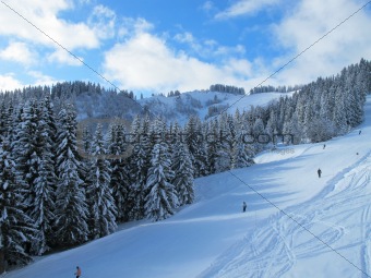 Snow covered ski piste surrounded by trees on sunny day