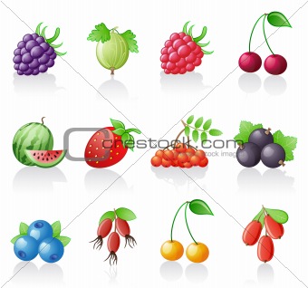 Berries icon set.