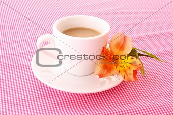 Cup of coffee and flower on red background