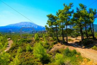 Trees and mountain landscape. Rhodes. Greece