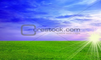 field of grass and perfect sunset