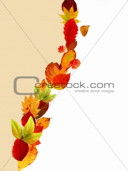 autumn card with colorful leaves 