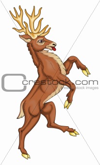 Stag vector