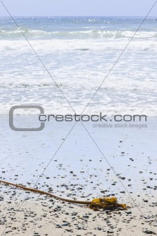 Beach detail on Pacific ocean coast of Canada