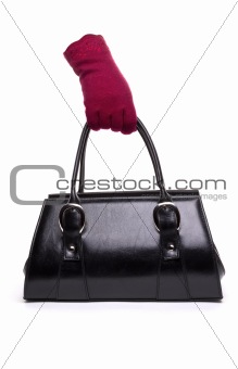 Female Bag