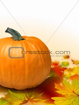 Fall vegetables as a background including pumpkins