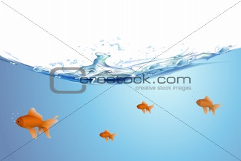 beautiful golden fishes