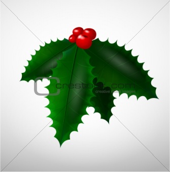 Christmas mistletoe illustration