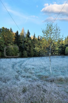 Frozen autumn landscape
