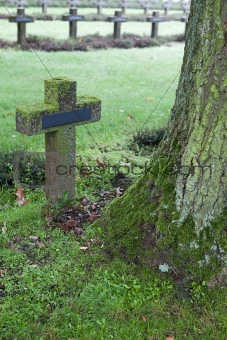 crosses at cemetery in autumn mist