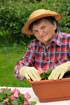 Senior woman - gardening