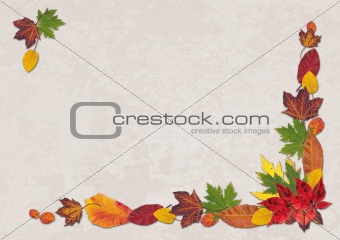 Autumn Leaves Landscape