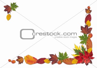 Autumn Leaves Landscape