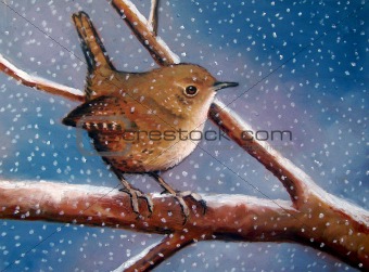 Freehand Pastel Painting of Wren in Winter