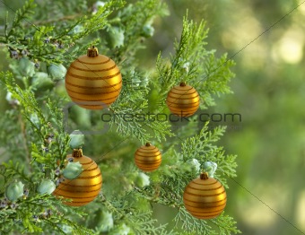 christmas tree pine tree decorated with gold bauble balls decorations
