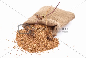 Burlap sack with buckwheat spilling 
