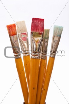 Paint brushes 