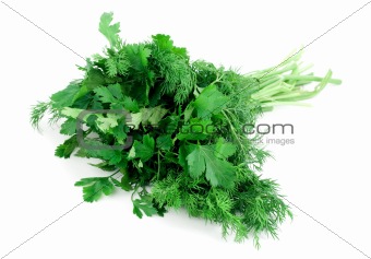dill parsley to spices