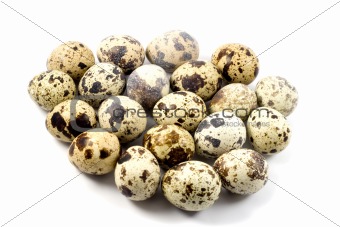 Quail eggs in egg shape  