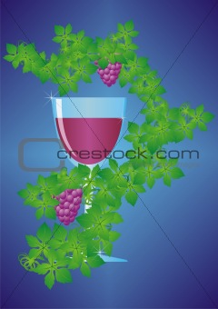 Grape wine