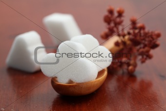 Sugar collection - white card suit