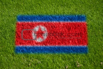 flag of korea dpr on grass