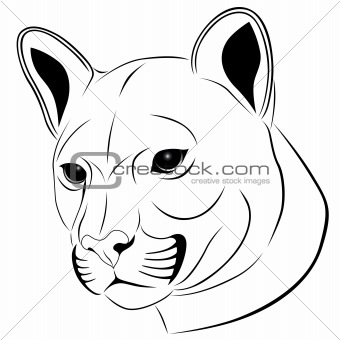 Cougar, tattoo