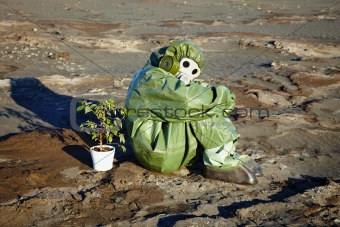 Man in chemical suit and houseplant in desert
