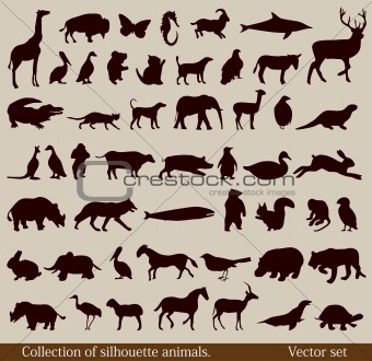 Set of diverse animal silhouettes. Vector