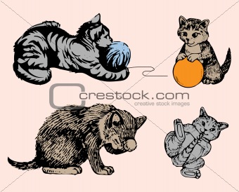 Cat series in various poses. Vector