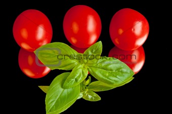 basil with tomatos