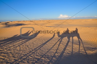 Shadow of caravan on the desert sand