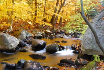 Autumn foliage and creek