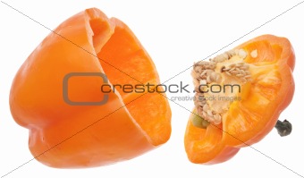 Vibrant Orange Pepper