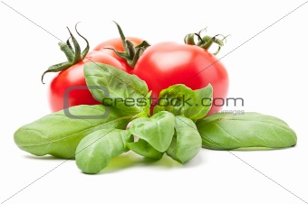 Tomato / basil