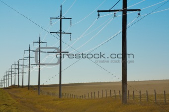 Sunlight on power lines