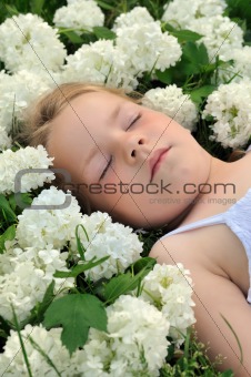 Little girl laying in flowers - snowball