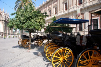 horses and carriages for sightseeing in Seville, Spain