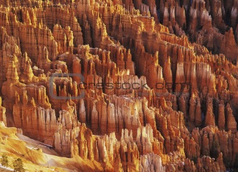 Hodoos in Bryce Canyon National Park