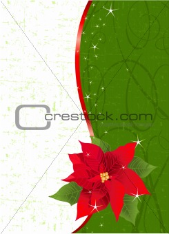Red poinsettia vertical Christmas place card