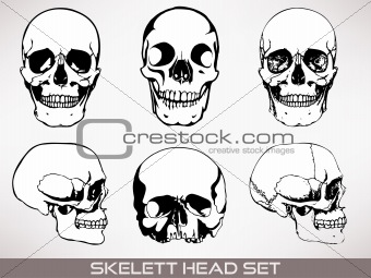 Skelett head vector.