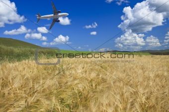 airplane and wheat field