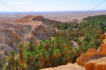 Oasis in the mountainous part of the desert